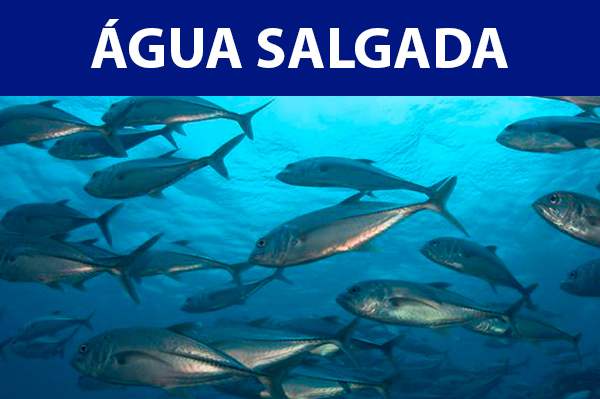 banners-produtos_AGUA-SALGADA.jpg
